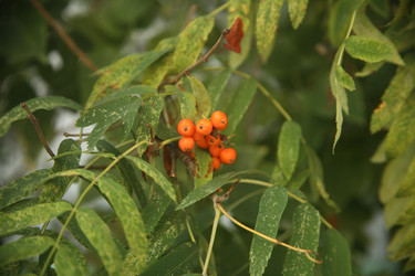 Similar image 22333900