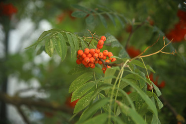 Similar image 22333902