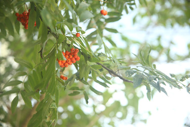 Similar image 22333904