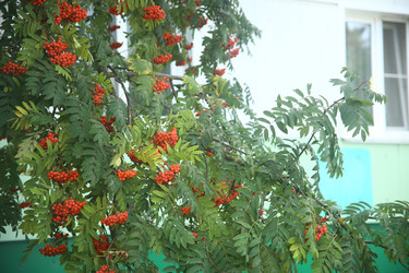 Similar image 22333905