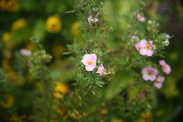 Similar image 22333906