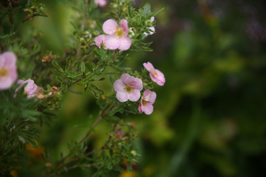 Similar image 22333907