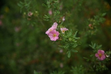 Similar image 22333908