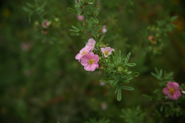 Similar image 22333909