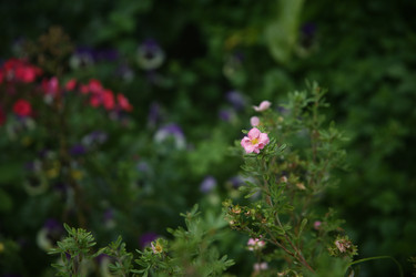 Similar image 22333910