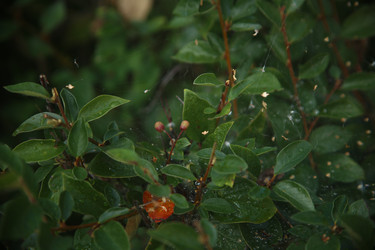 Similar image 22335508