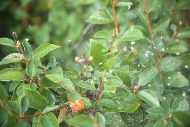 Similar image 22335509