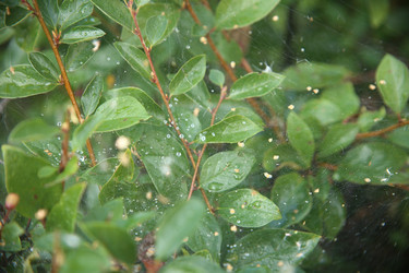 Similar image 22335510