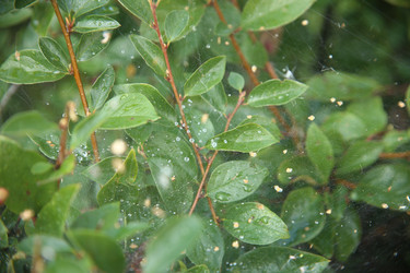 Similar image 22335511