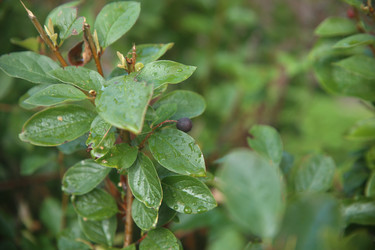 Similar image 22335512