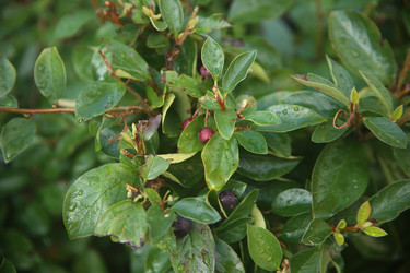 Similar image 22335513