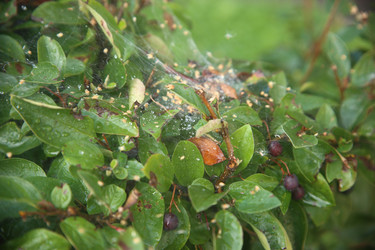 Similar image 22335516