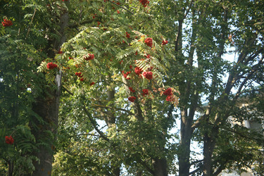 Similar image 22333911