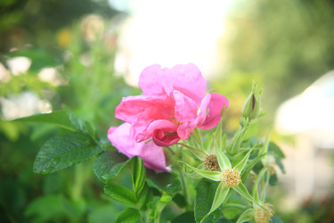 Similar image 22333912