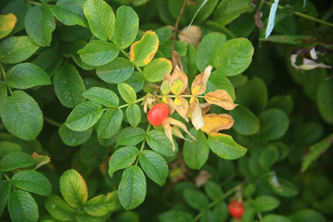 Similar image 22333913