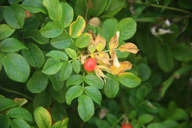 Similar image 22333914