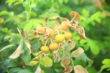 Similar image 22333915