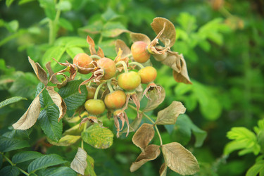 Similar image 22333916