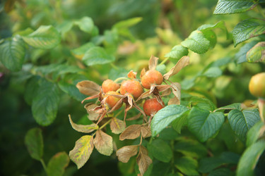 Similar image 22333917