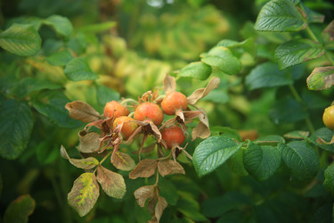 Similar image 22333918