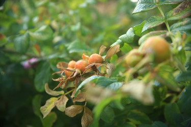 Similar image 22333919