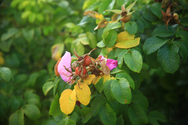 Similar image 22335518