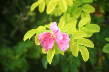 Similar image 22333920