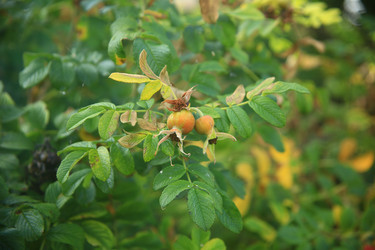 Similar image 22333921