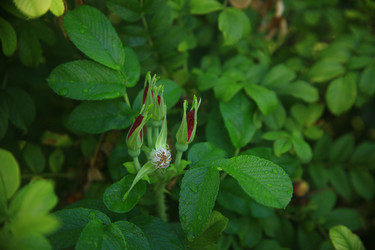 Similar image 22335519