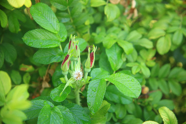 Similar image 22335520