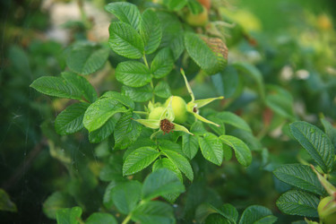 Similar image 22333922