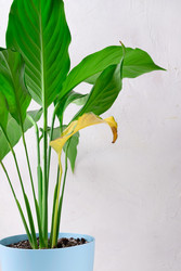 Similar image 22334115