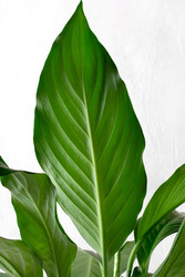 Similar image 22334116