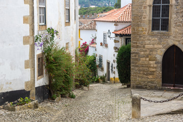 Similar image 22339777