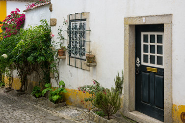 Similar image 22339779