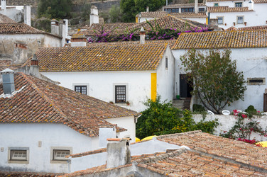 Similar image 22339780