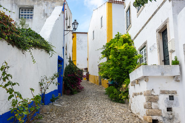 Similar image 22339781