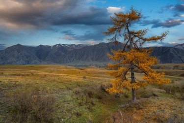 Similar image 22334249