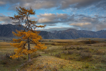 Similar image 22334251