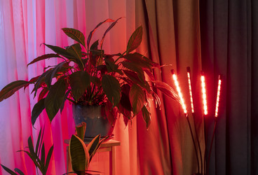 Similar image 22334283