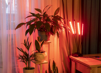 Similar image 22334284