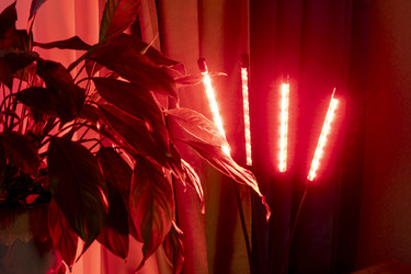 Similar image 22334285