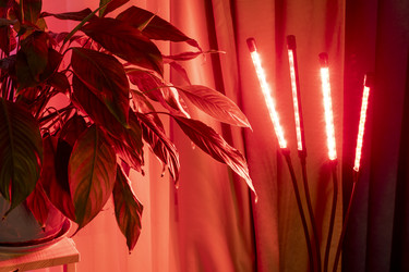 Similar image 22334286