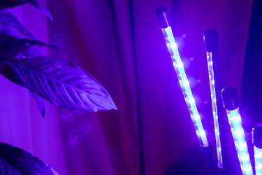 Similar image 22334287