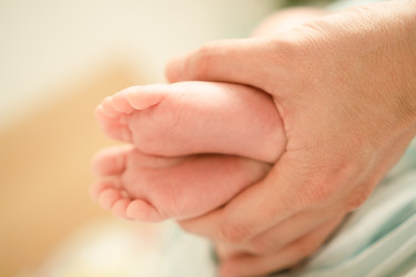 Similar image 22339185