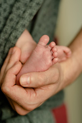 Similar image 22339193