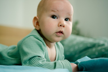 Similar image 22339199