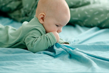 Similar image 22339201