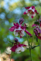 Similar image 22334290