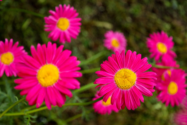 Similar image 22334291